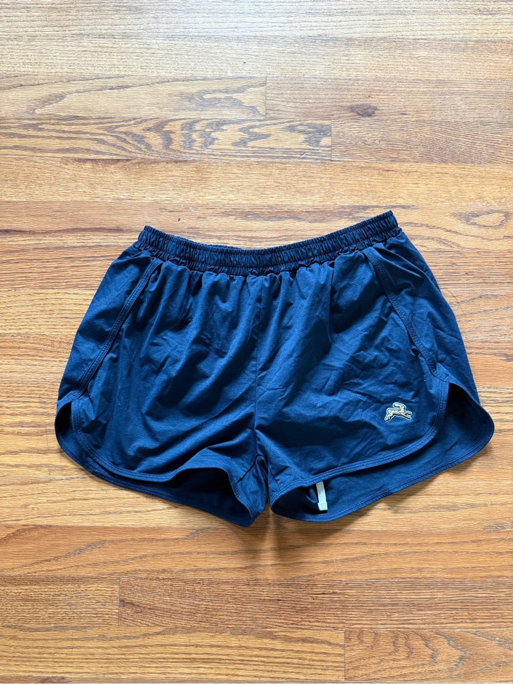 Tracksmith blue shorts
